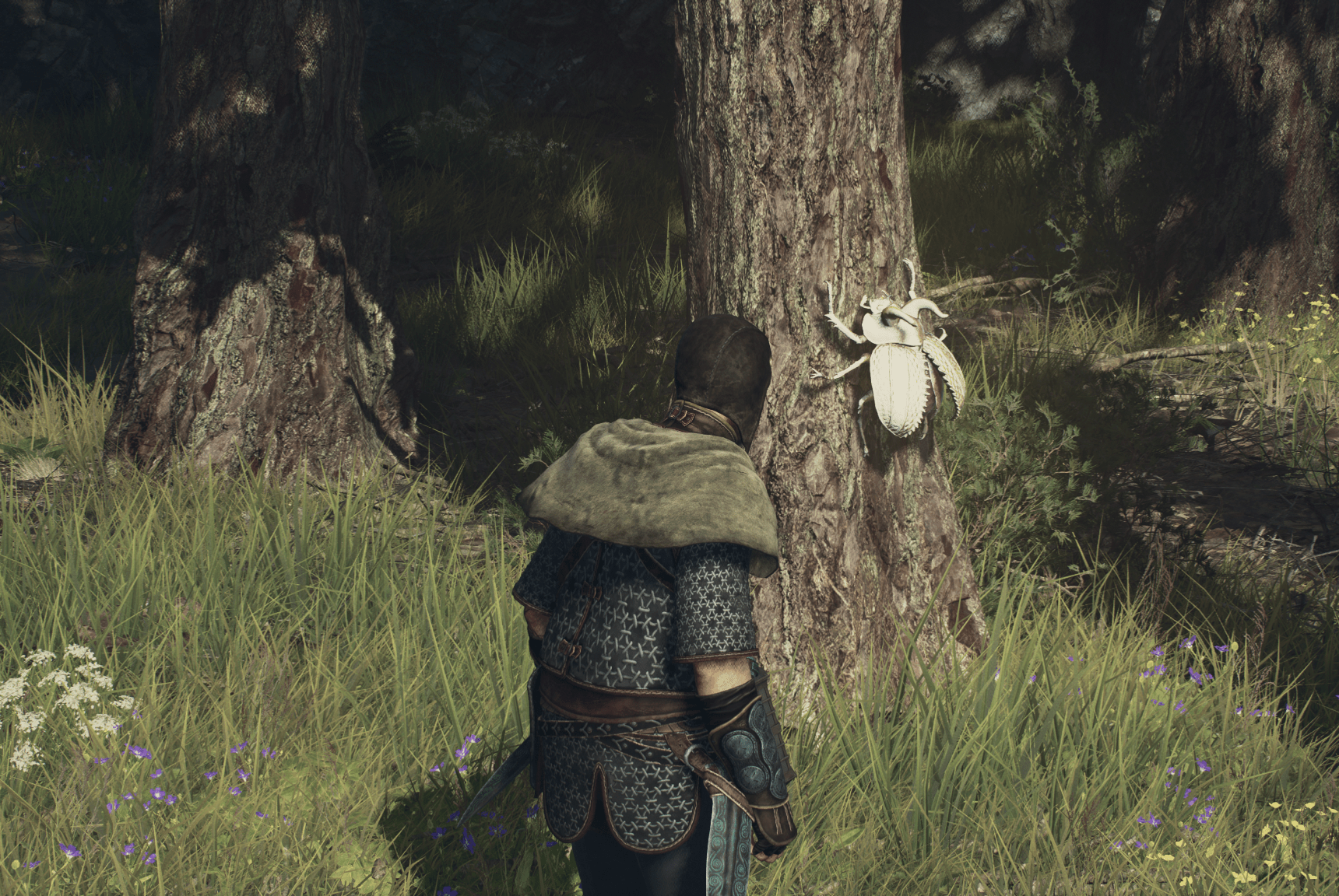 How to increase your inventory size in Dragon’s Dogma 2